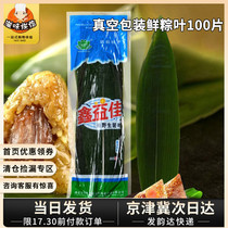 Zongcotyledon 100 pieces of zongzong leaves fresh Ruo leaves vacuum packaging Dragon Boat Festival bag glutinous rice zongzi large leaves wide and large