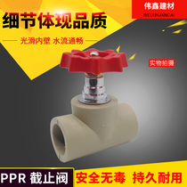 PPR hot melt pipe gate valve Globe valve 20 25 32 40 50 63 75 90 110 160 valve