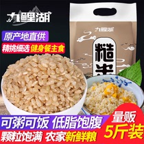 Jiuli Lake Brown Rice 5 Jin New Rice Northeast Brown Rice Fitness Yellow Rice Whole Grain Brown Rice Grain Germ Rice
