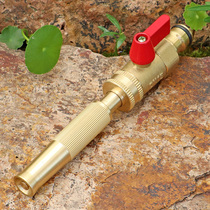 Pagoda Joint Hose Small Shank Ball Valve Switch Copper Adjustable Watering Car Wash Shower Multifunction Water Gun Spray Head