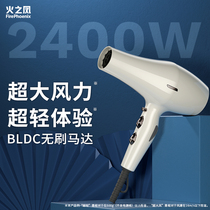  Fire Phoenix hair dryer hair salon special high-power barber shop hair stylist home official flagship 6200H