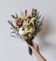 Forget-me-not eucalyptus dried flowers mix and match small bouquets natural living room desktop decoration balcony Golden Ball