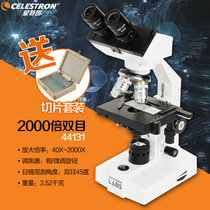 Xingterrand 2000-fold binocular biological microscope laboratory with high-speed magnification teaching aids professional 44131