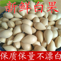 (2020 fresh big Baguio) Fresh raw Baguio Ginkgo fruit Pizhou Big Buddha refers to Ginkgo kernel Baguio kernel