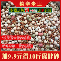 10 catties of pigeon grain without corn pigeon grain nutrition feed bird food bird food carrier pigeon ornamental pigeon pigeon meat pigeon young pigeon grain