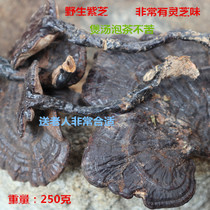 Wild Ganoderma lucidum: Dashan pure wild Zizhi Danxia Mountain Linzhi send the old man to boil soup and make tea without bitterness 250 grams