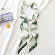 Green long strip square scarf small silk scarf womens summer French tie hair tie bag thin ribbon ribbon tie belt