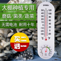 Greenhouse thermometer Vegetable mushroom mushroom planting thermometer Hygrometer Wall-mounted thermometer Agricultural greenhouse thermometer
