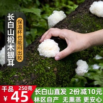  Changbaishan Basswood silver fungus Basswood snow fungus White fungus 250g glutinous ear glue ugly ear dry goods sulfur-free non-Tongjiang