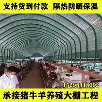 Greenhouse skeleton steel pipe bullpen sheep pen pig house goose rabbit chicken farm Oval tube greenhouse vegetable breeding greenhouse insulation