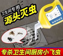 Toilet small flying insects household indoors Moth black worms pipes toilet floor drain insecticide