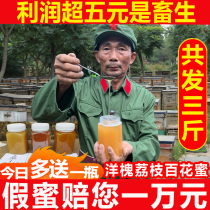 Earth honey Pure natural wild lychee acacia flower hundred flowers Linden tree honey Stick snow honey Small package honeycomb honey