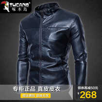 Woodpecker stand collar leather jacket male Haining sheep leather jacket spring and autumn thin style handsome trend locomotive