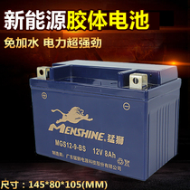 Suitable for Huanglong BJ600GS BN600i silver blade BJ250T-8 BJ300GS Battery Battery
