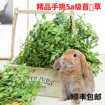  New grass drying alfalfa rabbit CHINCHILLA guinea pig food hay Dutch pig forage food Gross weight 1KG