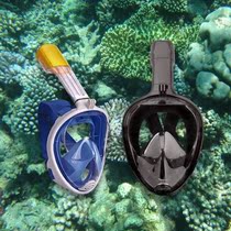 Glasses Portable childrens diving mask full face swimming pool full cover Waterproof full dry snorkeling mask Adult