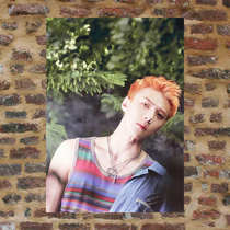 Wu Shixun Poster Custom LSR036 138 full 8 sheets of packages Post A3 photo photo-related perimeter