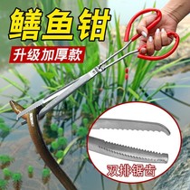 New stainless steel yellow eel clips eel fish clip loach crab pliers non-slip anti-escape and catch tool to catch the sea deity