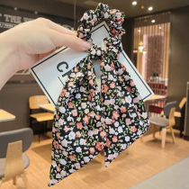 Head rope tie leather band Net red ins headdress hair rope large intestine Hairband streamer 2021 new summer