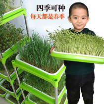Kindergarten area corner layout natural corner creative plant corner decoration planting area material ring creating plant shelf