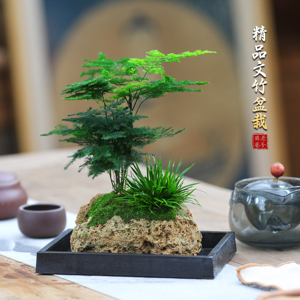 竹石盆景-竹石盆景促销价格、竹石盆景品牌- 淘宝