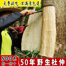 New goods pure wild eucommia ulmoides old tree thick skin natural dried soup male wine special Chinese herbal medicine 500g