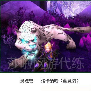 魔兽世界代练代抓灵魂兽值得吗？逐日、洛卡纳、哈泰罗如何获取？_游戏推荐_淘宝游戏网