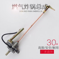 Gas Fryer Ignition Switch Assembly Ignitor Fried Stove Ignition Assembly Fish Pellet Stove Electronic Ignition Assembly