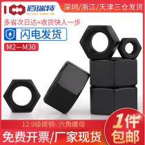 8 8-12 9 grade high strength hexagon nut screw cap M2M2 5M3M4M5M6M8M10M12M14M16