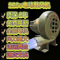 Blower 220V powerful small household fire blowing stove blowing barbecue electric firewood stove high-power stove