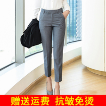 Western pants women ankle-length pants 2020 spring and summer new high waist straight dress pants ol professional pipe work suit pants women