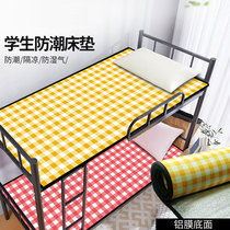Student dormitory single moisture-proof mat dormitory mattress cool floor artifact sleeping mat lunch break mat nap mat