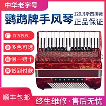 Parrot accordion 8 72 60 96 120 bass three and four rows of spring accordion beginner exam performance
