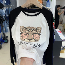 Pregnant women's clothing base shirt spring fashion loose cotton long sleeve T-shirt women's large size sweater spring and autumn long coat