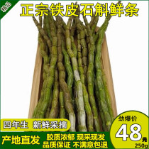 Fresh Dendrobium candidum four-year-old Huoshan Dendrobium candidum fresh strip special grade Yunnan Dendrobium candidum 500g