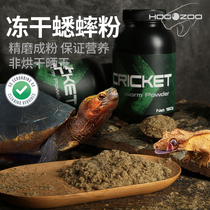 Lyophilized insect powder Yellow edge feed shrimp powder Cricket powder Semi-aquatic turtle R ciliary angle Shougong calcium hair color insect powder