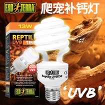 Xijin climbing pet lizard tortoise calcium UVB bulb lamp sun back energy-saving meat fill light 5 0 10 0