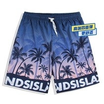 Beach pants mens loose leisure seaside vacation can go into the water quick dry swimming pants personality sports thin big pants tide
