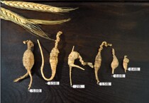 Old and pure American wild American ginseng original Flower Flag Ginseng Western mountain ginseng whole old ginseng