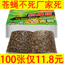 Fly Stickstick Fly Paper Powerful Sticky Fly Paper Extermination of Fly Sticky Fly Plate Fly medicine Adhesive Fishing fly Home One sweep of light