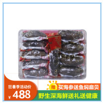 Yuetai Aquatic Instant Sea Cucumber 500g Deep Seabed Sowing Sea Cucumber Seafood Gift Box Yantai Seafood Net Red Specialty