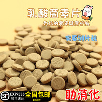 Lactic acid bacteria tablets help digestion and growth Anti-soft stools Pet Rabbit special conditioning stomach 50 tablets