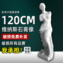1 2 Mivenus full-body plaster sculpture ornament statue decoration art teaching aids sketch plaster model