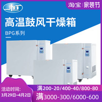 Shanghai A Constant High Temperature Blast Drying Cabinet Temperature 400-500-degree High temperature Oven High Temperature Blast Oven