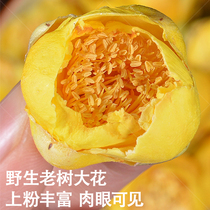 Authentic Guangxi Fangchenggang wild freeze-dried golden flower tea wild special anti-Pujin flower tea big flower 30g1 bottle