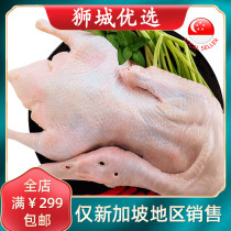 (Frozen meat)1 whole duck about 2kg Singapore local delivery