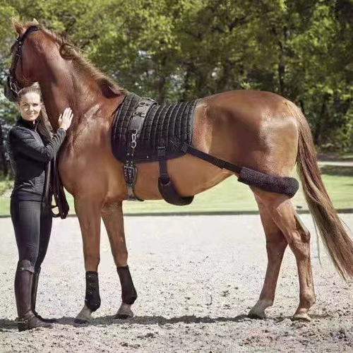 Обучение седловой подушка лошади с седлом технологии ткань ткань высокий дыхание и быстрая сухая тренировочная пота катаго катаго