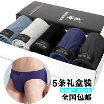  Mens underwear pure cotton briefs red breathable young boys large size loose cotton underpants for the year of their lives