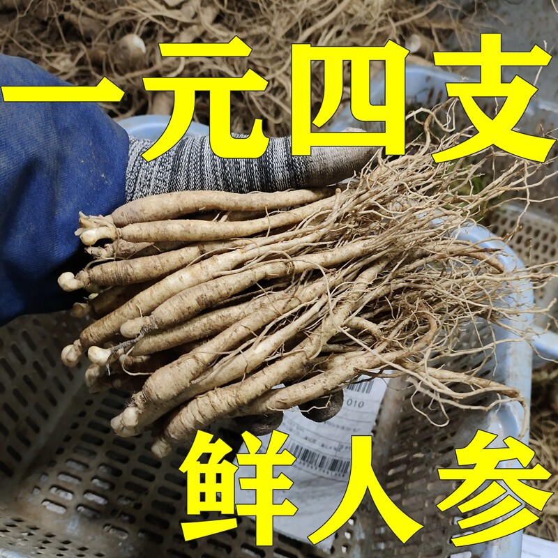 野生山参山参-野生山参山参促销价格、野生山参山参品牌- 淘宝