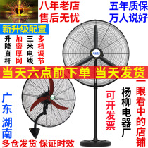 High power industrial fan powerful floor fan except formaldehyde hanging wall-style large wind electric fan factory horn fan